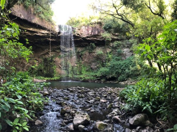 cascata renascer jardim das deusas - banner 2