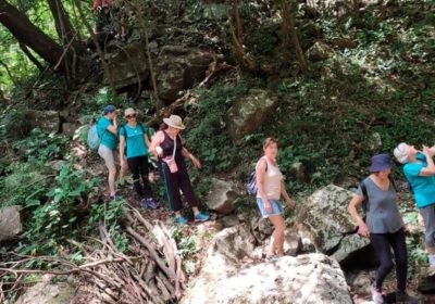 As nossas trilhas oferecem uma combinação perfeita de aventura e tranquilidade na natureza. Explorar esses cenários é uma experiência única que nos conecta com o mundo natural.